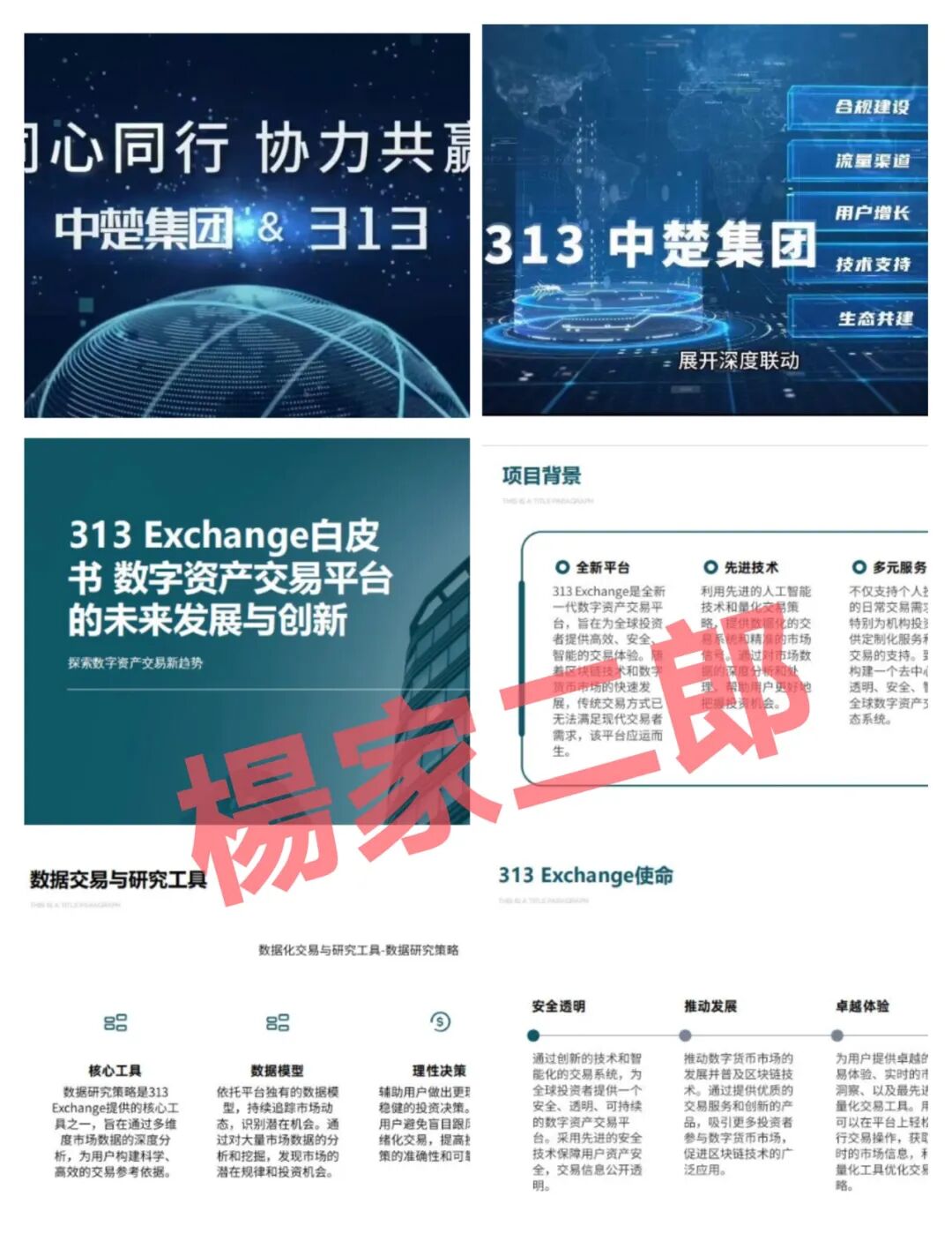 中楚集团313交易所”跟单类资金盘骗局，已拔网线彻底凉凉-股票资源网